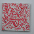 Misadventures Tiny Painted Album